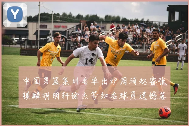 中国男篮集训名单出炉周琦赵睿张镇麟胡明轩徐杰等知名球员遗憾落选